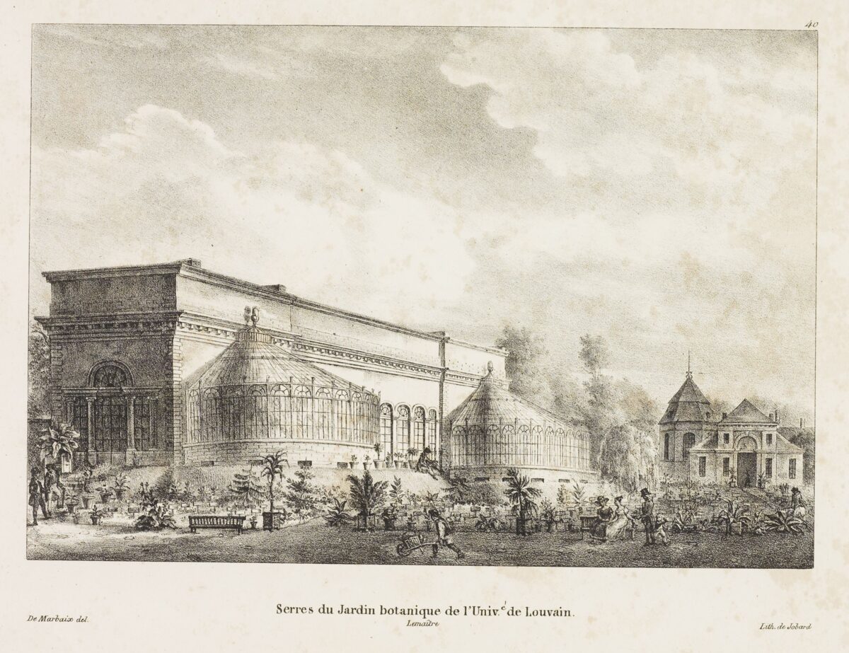 De kruidtuin vroeger